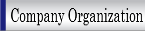 Company Organization